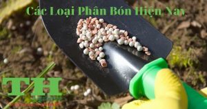cac-loai-hphan-bon-hien-nay-thagricare