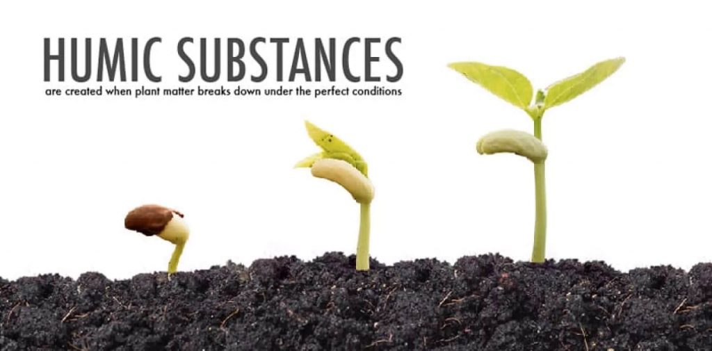 phan-bon-kich-thich-ra-re-HUMI[K]-500g-nhap-khau-my (1)