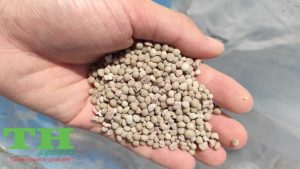 tai-sao-phan-bon-bm-kho-tan-thagricare