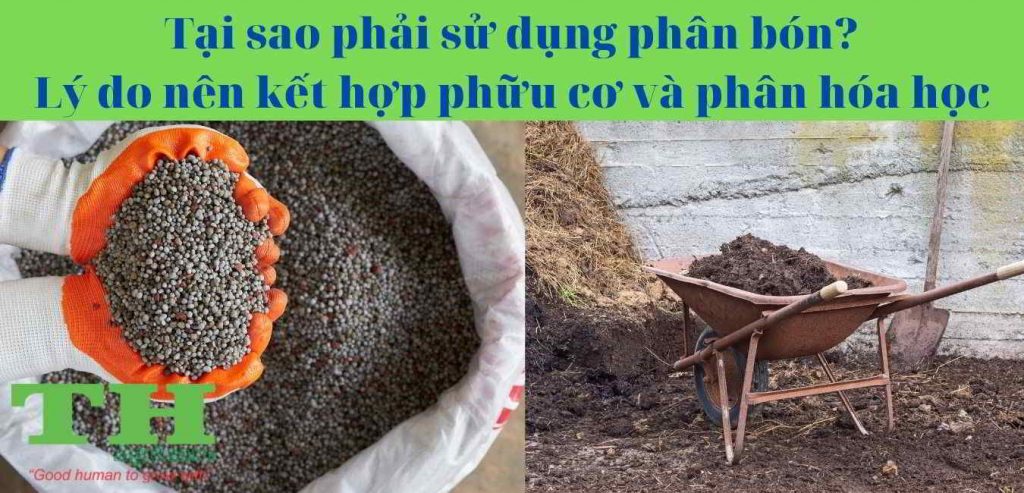 tai-sao-phai-bon-phan