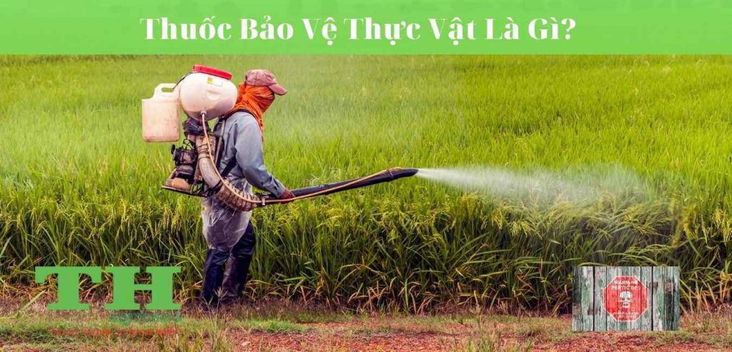 Người dân xịt thuốc trừ sâu cho lúa