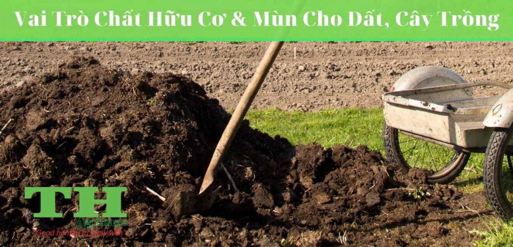 vai-tro-chat-huu-co-trong-dat