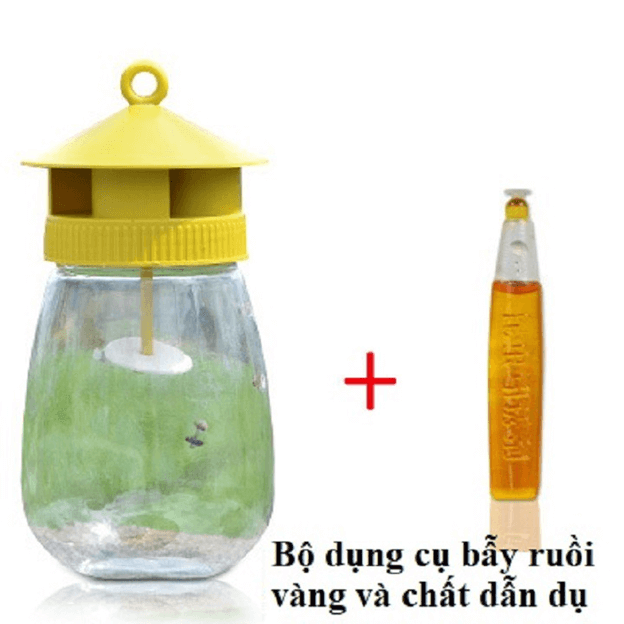 Cách làm bẫy ruồi vàng đơn giản từ chai nhựa thải - YouTube