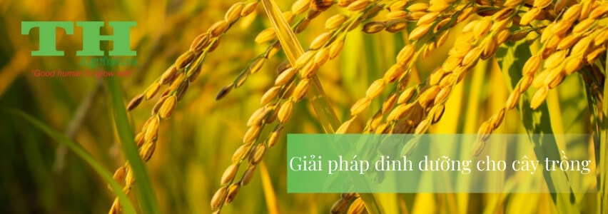 thagricare-giai-phap-quan-ly-sau-benh-hai