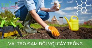 vai-tro-dam-voi-cay-trong