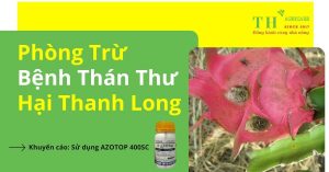 dieu-tri-benh-than-thu-cay-thanh-long-thagricare