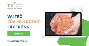 vai-tro-cua-kali-doi-voi-cay-trong-thagricare