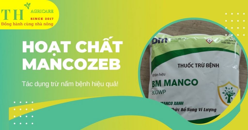 hoat-chat-mancozeb