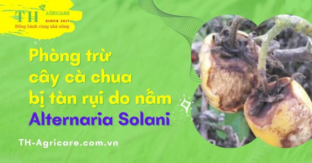 benh-tan-rui-la-thoi-rung-qua-thagricare
