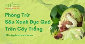 nhan-biet-va-phong-tru-sau-xanh-duc-qua-tren-cay-thagricare