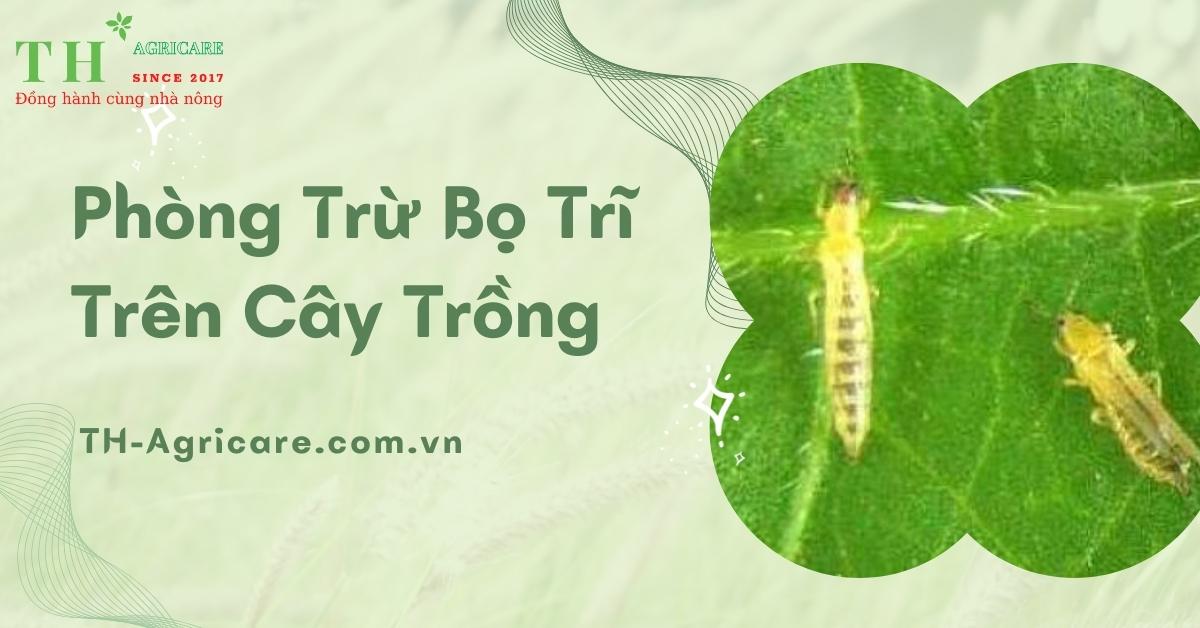 Phòng trừ bọ trĩ trên cây lúa  Nông dược 04042018