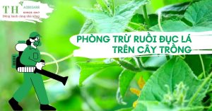 phong-tru-ruoi-duc-la-tren-cay-dua-chuot-thagricare