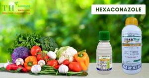 goc-thuoc-hoat-chat-hexaconazole-thagricare