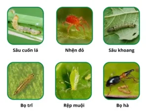 hoat-chat-Indoxacarb-thagricare